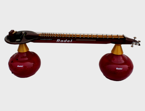 SUNADANI VEENA